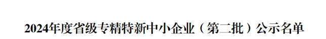 省級殊榮！江蘇迅鐳榮獲2024年度“江蘇省專精特新中小企業”稱號！(圖4)